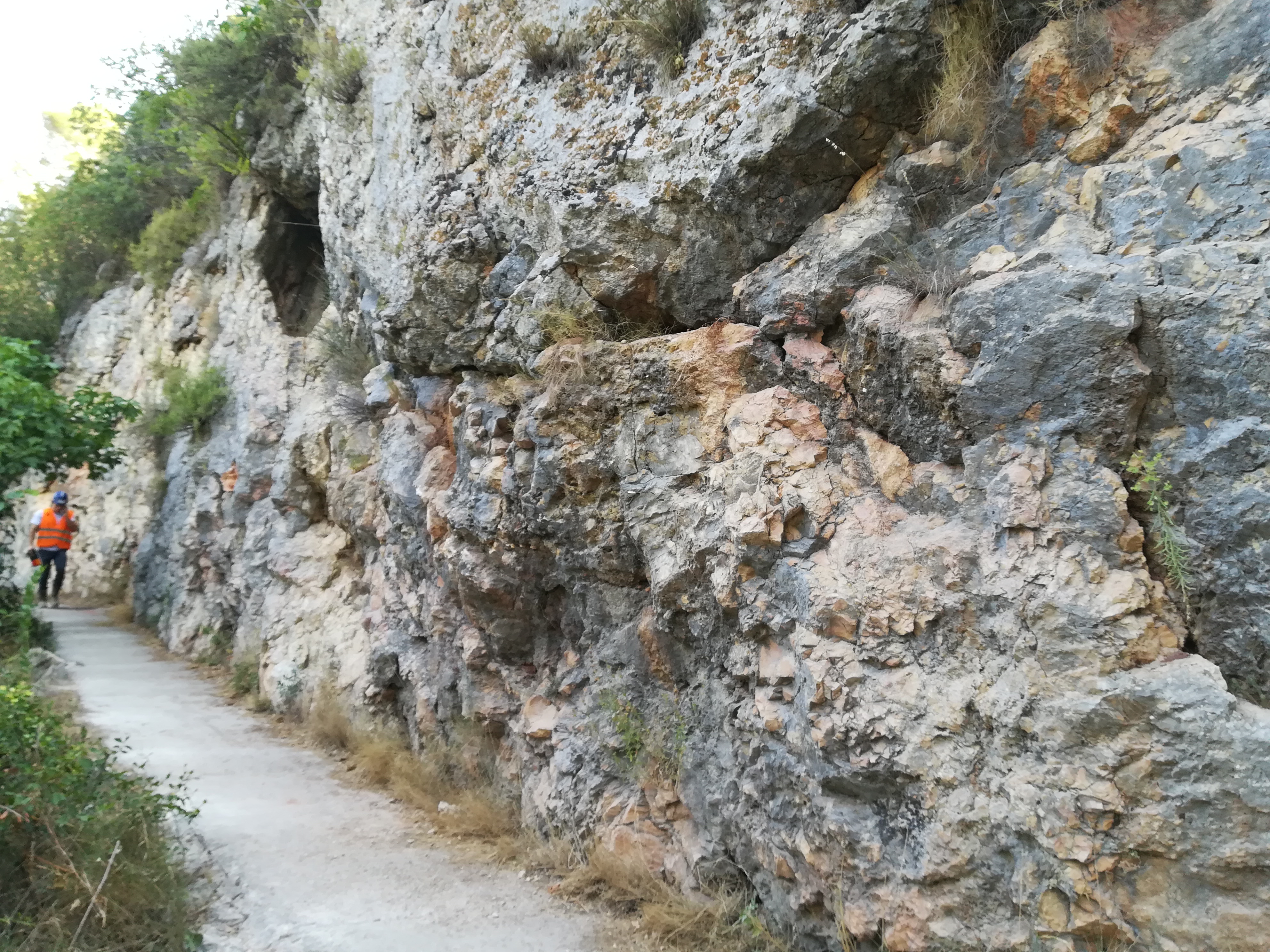 PHOTO 29 07 2020 (11)