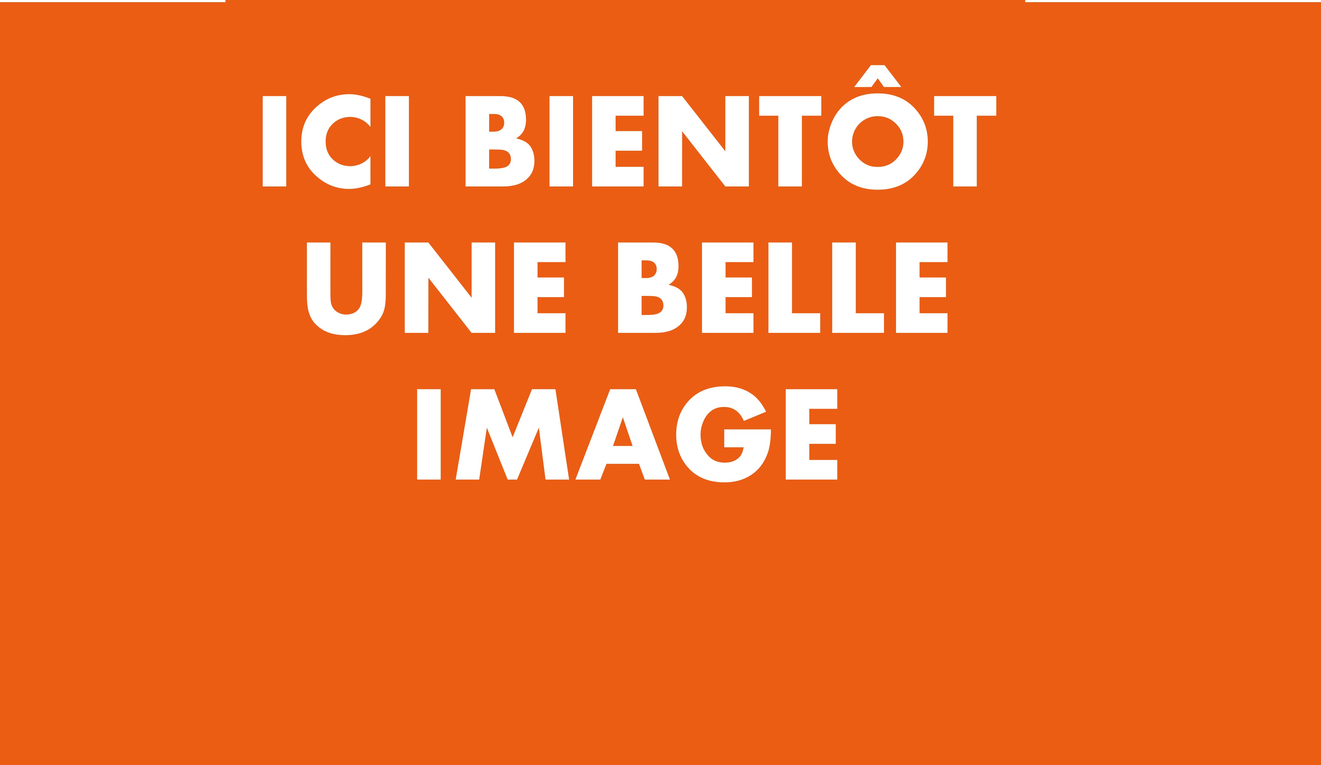ICI BIENTÔT UNE BELLE IMAGE Orange