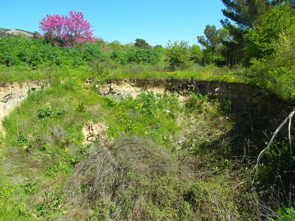 Prévention des risques naturels